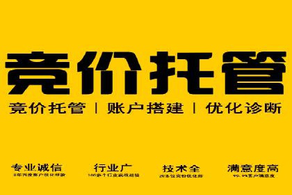 某SEM公司广告投放案例：创新广告形式的探索与实践